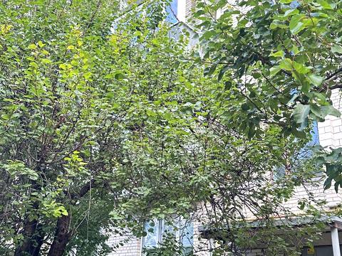 квартира по адресу Ботаническая ул., 15