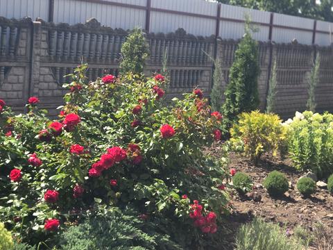 дом по адресу Центральна