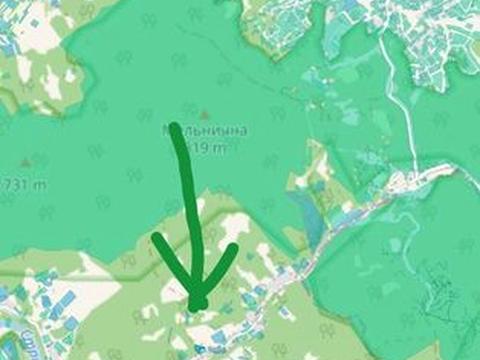 дом по адресу с. Новый Крапивник, Гірська, 65