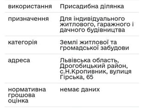 дом по адресу с. Новый Крапивник, Гірська, 65