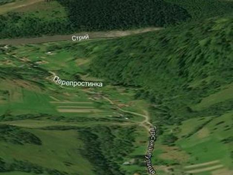дом по адресу с. Новый Крапивник, Гірська, 65
