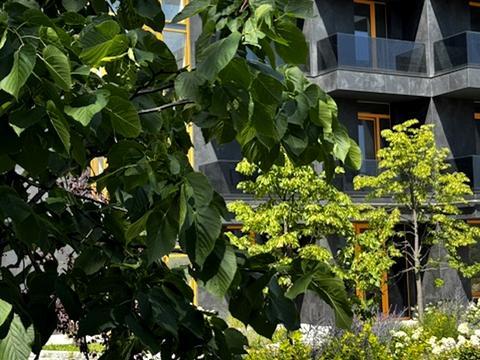 комерційна за адресою Петра Карманського вул. (), (Будинок 1)
