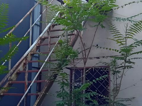 комерційна за адресою Академіка Белелюбського вул., 54