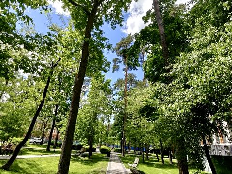 квартира по адресу Миколи Шудрі ул. (8 Березня), (Будинок)