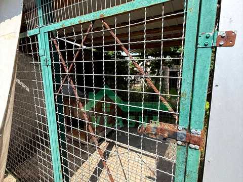 дом по адресу Студентська, 88
