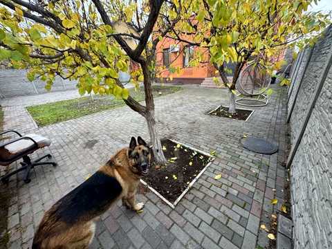 будинок за адресою Балтійська вул.