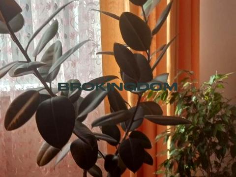 квартира за адресою Осіння вул., 33