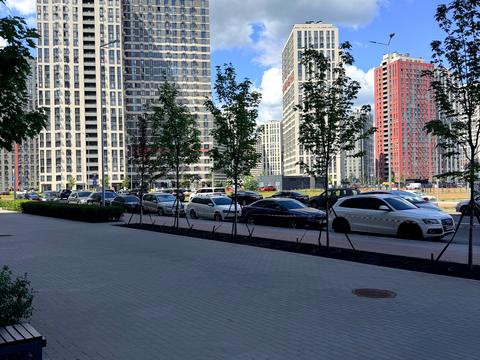 квартира за адресою Київ, Олександра Олеся вул., 19
