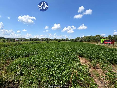 ділянка за адресою с. Великий Кучурів, провулок Київський