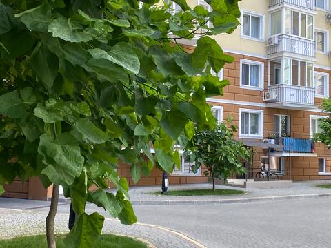 квартира по адресу Люстдорфская дорога ул. (Черноморская дорога), 100д