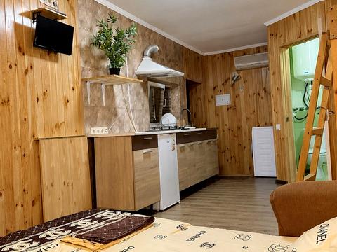 дом по адресу Дача Ковалевского ул., 7Б