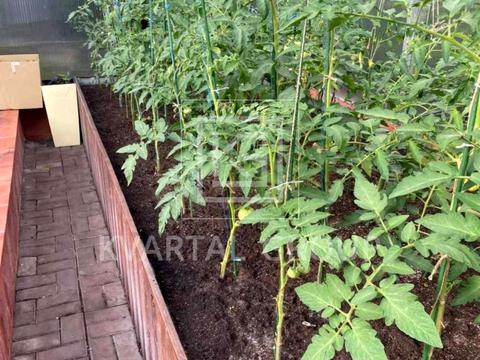 будинок за адресою с. Северинівка, Петра Сагайдачного вул., 51