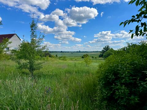 будинок за адресою Бородіна