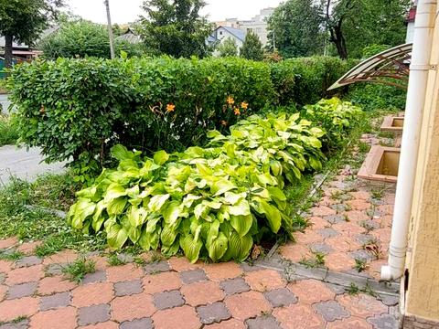 комерційна за адресою Винниченка вул., 11