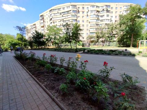 квартира за адресою Євгена Чикаленка вул., (Будинок)