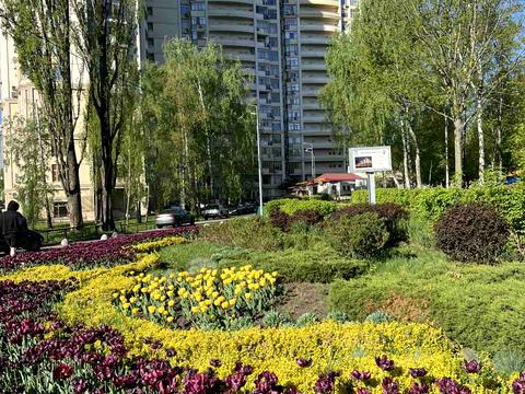 квартира по адресу Парково-Сырецкая ул. (Тимофія Шамрила), 4-В