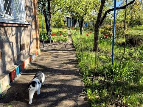 будинок за адресою Центральна