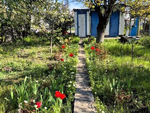 будинок за адресою Центральна