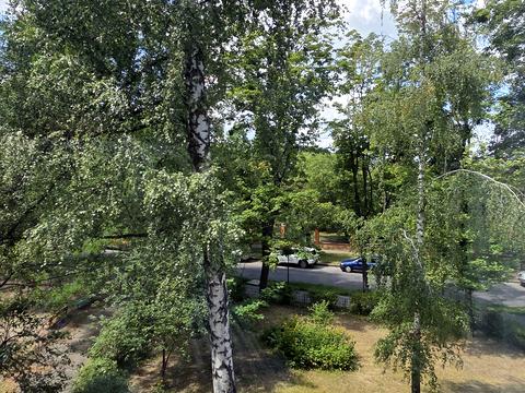квартира за адресою Михайла Донця вул., 9