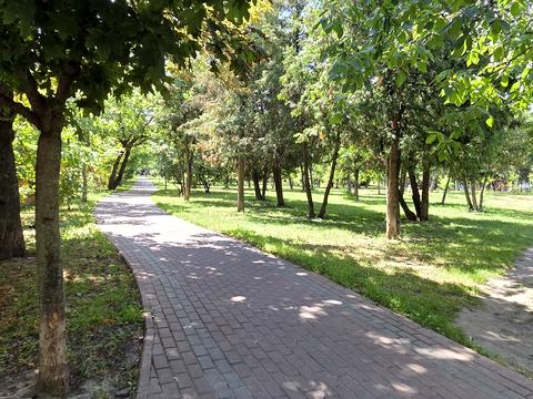 квартира за адресою Михайла Донця вул., 9