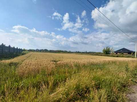 ділянка за адресою с. Піддубці, 