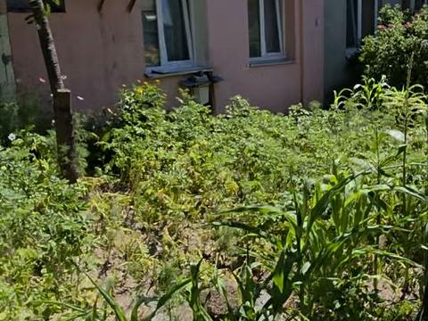 будинок за адресою Буча, Дмитра Вишневецького вул. (Ворошилова), 59