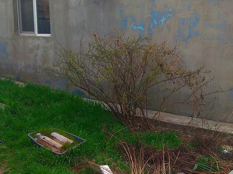 дом по адресу 4-я Слободская ул., 80