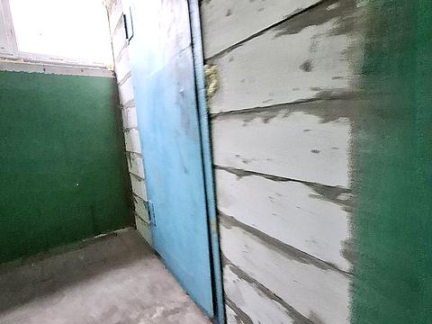 квартира по адресу Паникахи ул., 16