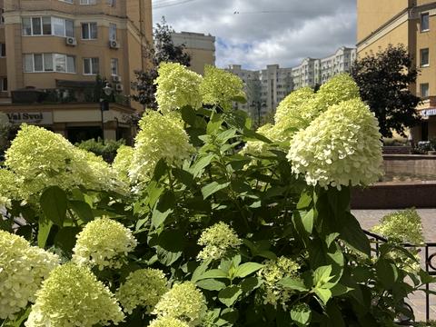 квартира по адресу Корольова ул., 2