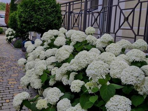 квартира по адресу Чубаївська ул., 3а