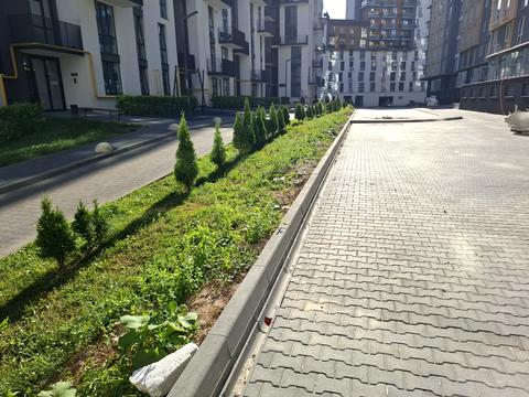 квартира за адресою Малоголосківська вул., (Будинок)