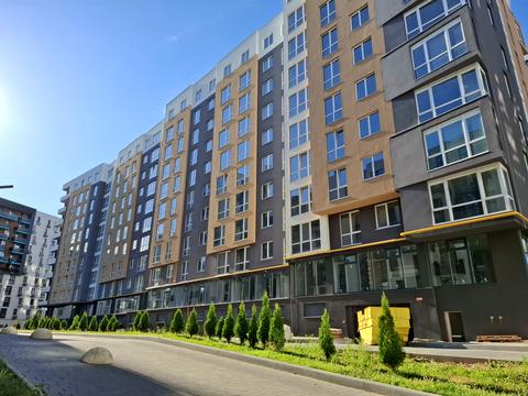 квартира за адресою Малоголосківська вул., (Будинок)