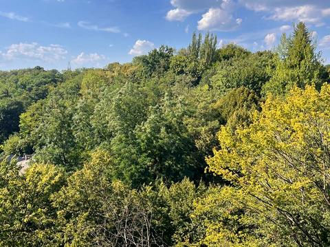 квартира по адресу Липовая Аллея ул., (Будинок)