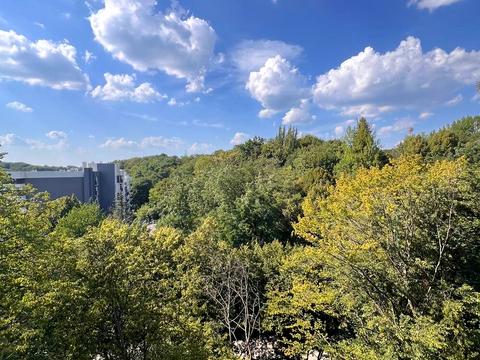 квартира по адресу Липовая Аллея ул., (Будинок)