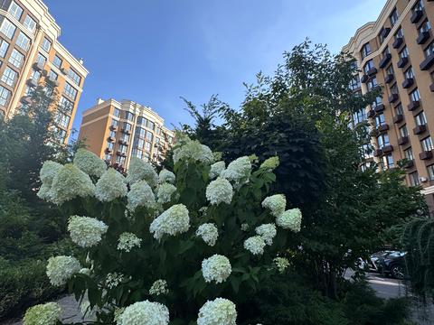 квартира по адресу Мартинова просп., 6