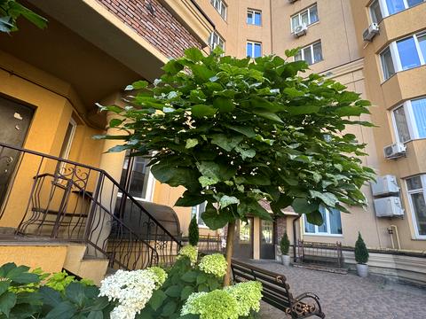 квартира за адресою Боголюбова вул., 34