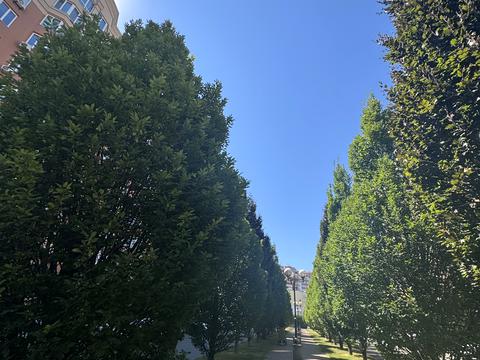 квартира за адресою Боголюбова вул., 34