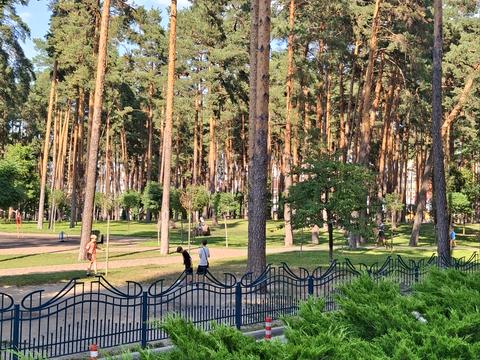 квартира за адресою Університетська вул., 3/8