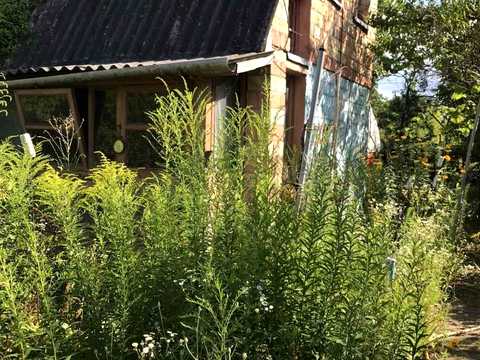 будинок за адресою лінія 5
