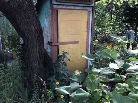 будинок за адресою лінія 5