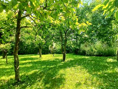 будинок за адресою Незалежності вул.