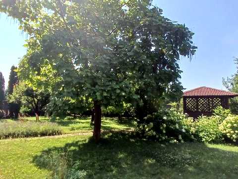будинок за адресою Незалежності вул.