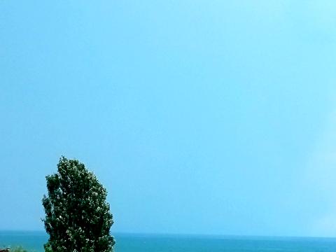 квартира за адресою Дача Ковалевського вул., 121 к1