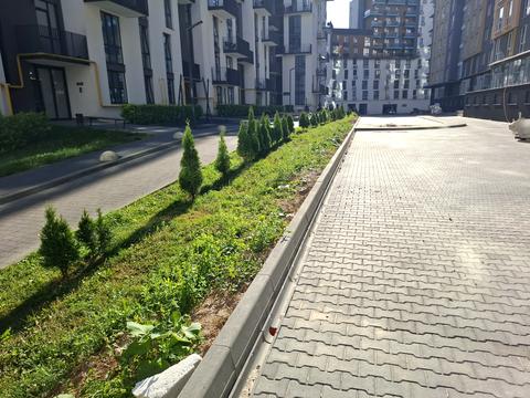 квартира за адресою Малоголосківська вул., (Будинок)