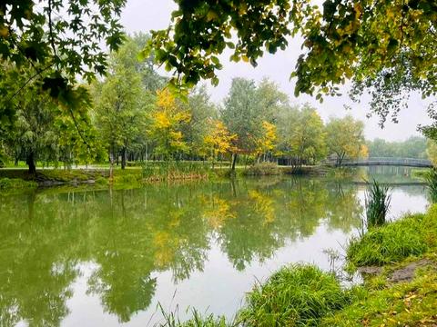 квартира за адресою Воскресенська вул., 12-Г