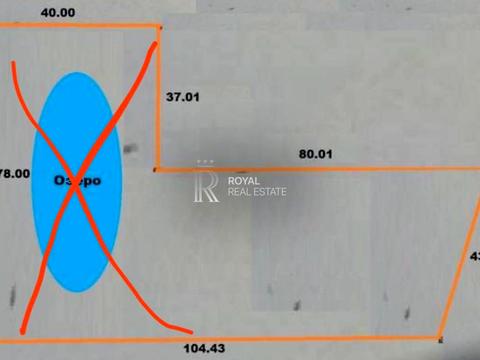 1872494331016458