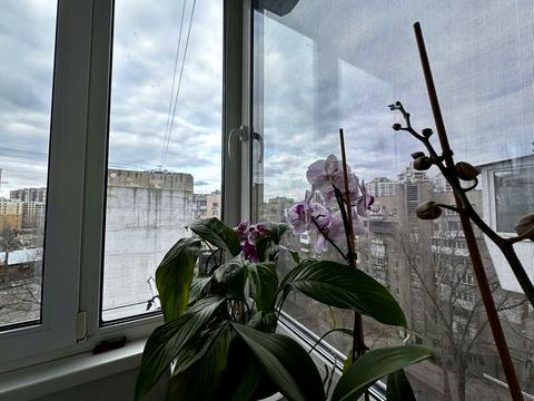 квартира по адресу Академическая ул. (Пионерская), 5а
