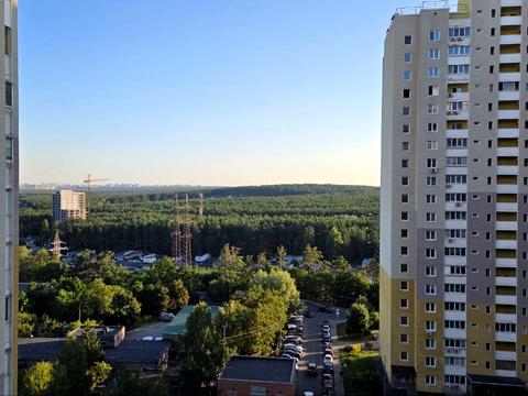 квартира по адресу Кургузова ул., 1а к1