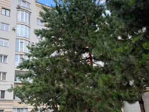 квартира за адресою Кубанська вул., 21