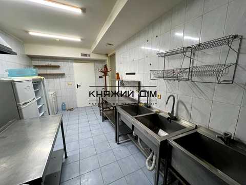 комерційна за адресою Гетьмана Кирила Розумовського вул. (Миколи Краснова), 17